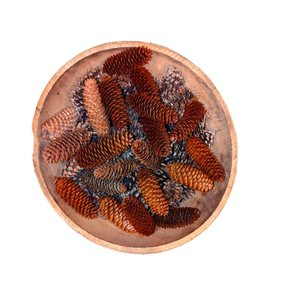 12 Real Pinecones